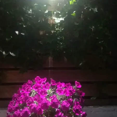 Sole E Mare Family Apartmán