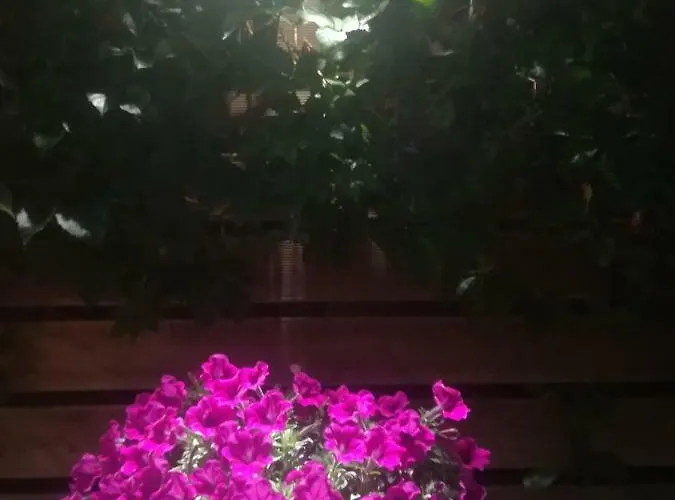 Sole E Mare Family Apartmán